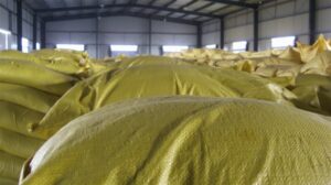 GREEN AGROCHEM CONATINER LOADS