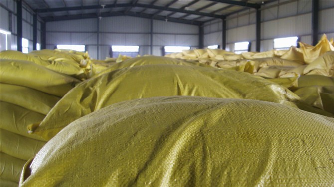 GREEN AGROCHEM CONATINER LOADS