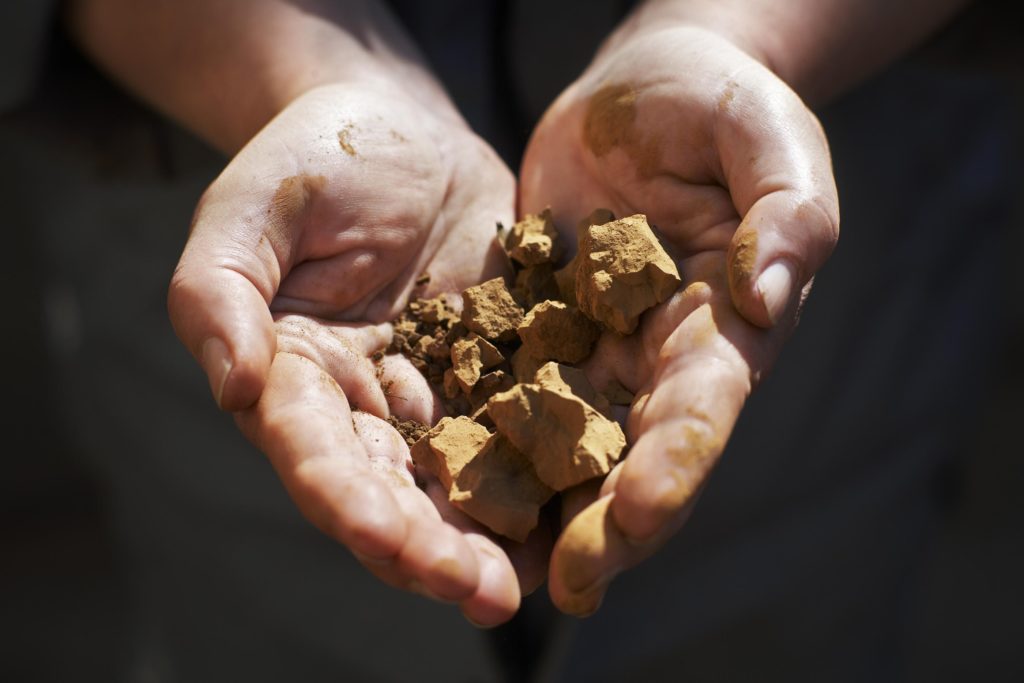 lignin