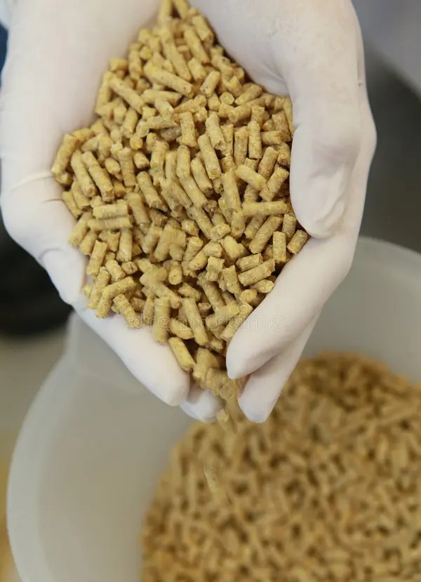 Lignosulfonate pellet binder