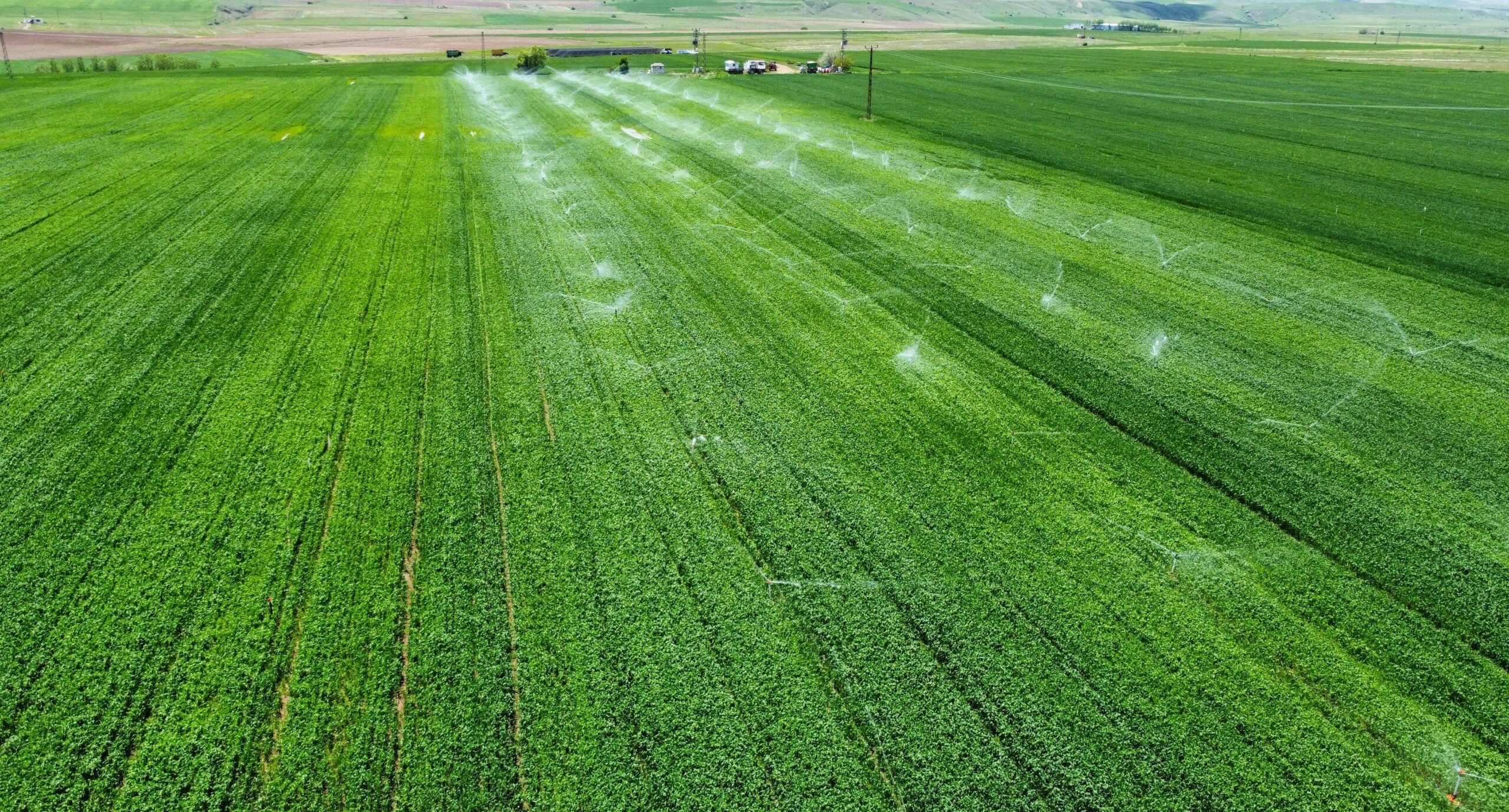 Calcium lignosulfonate is used in agriculture for metal ion management