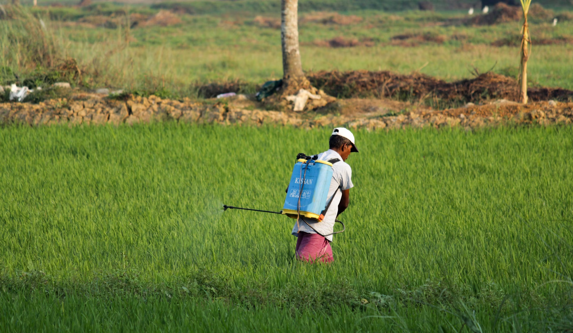Dispersant NNO for pesticide formulation