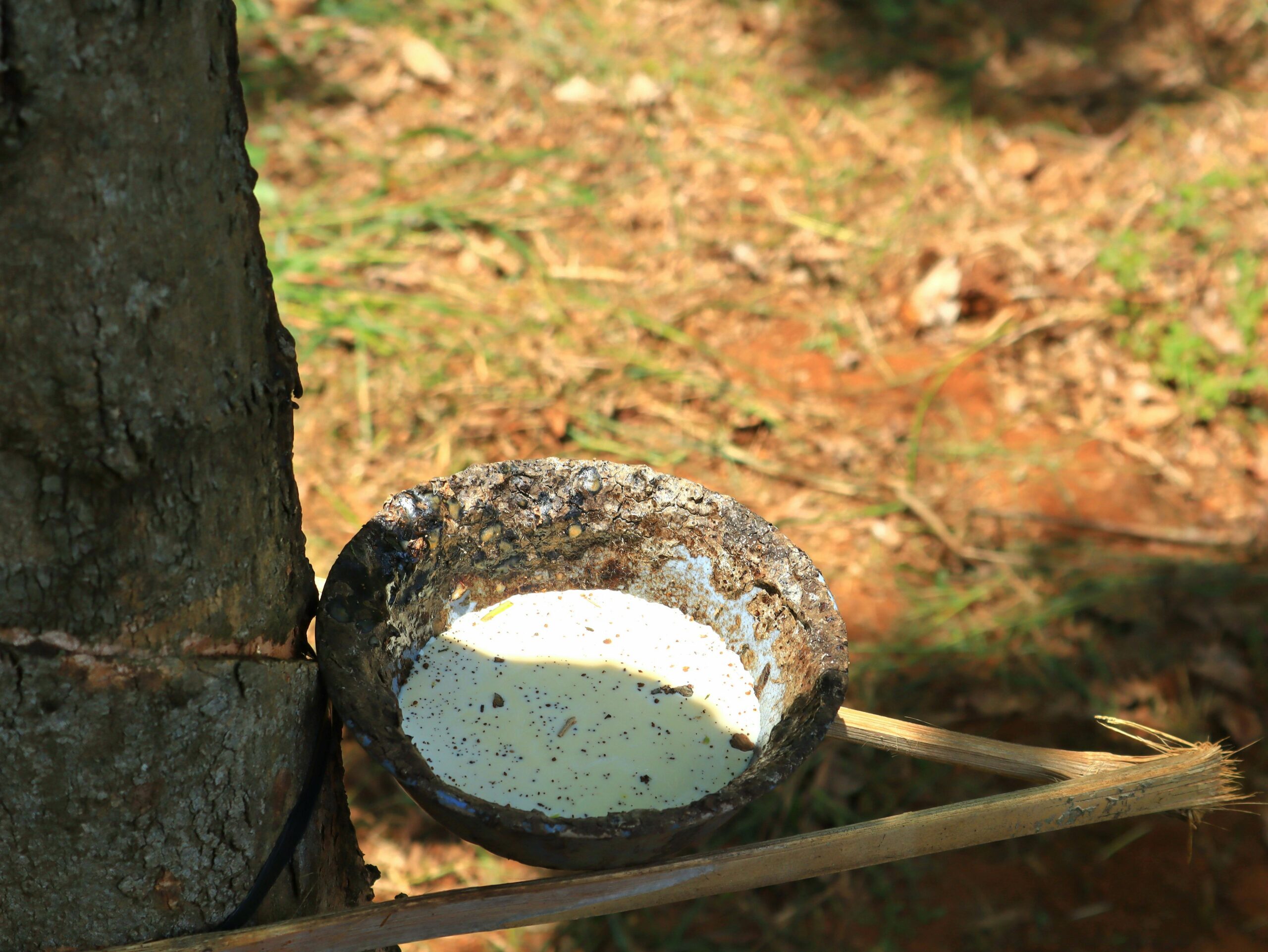Dispersant NNO used in rubber latex stabilizer