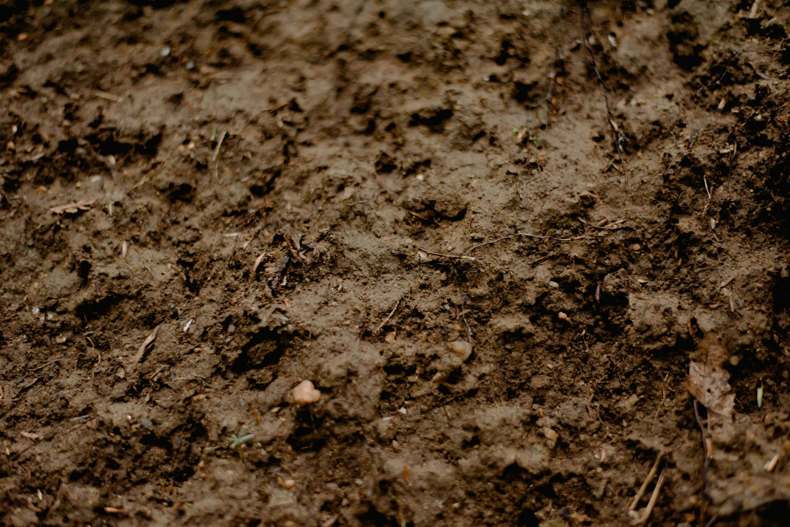 Lignosulfonate can improve soil fertility