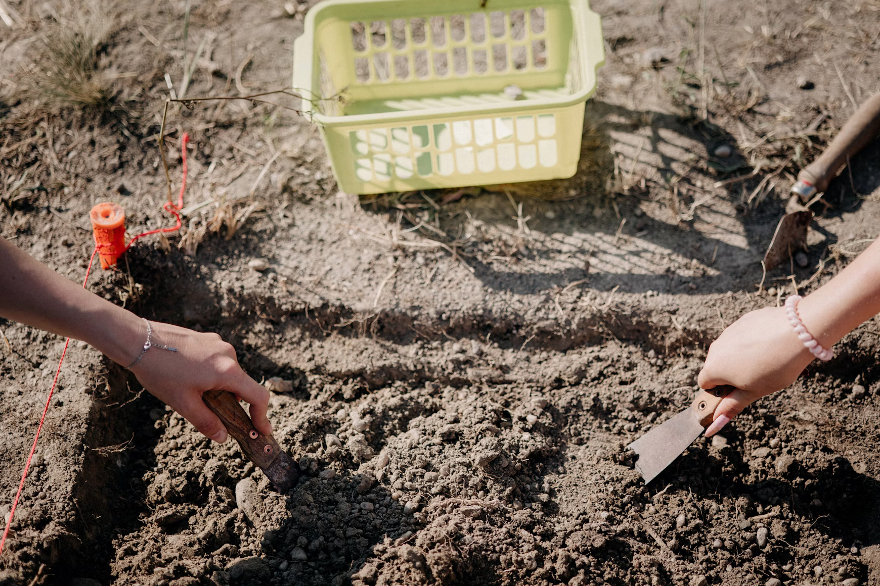 Lignosulfonate works as a liquid soil conditioner