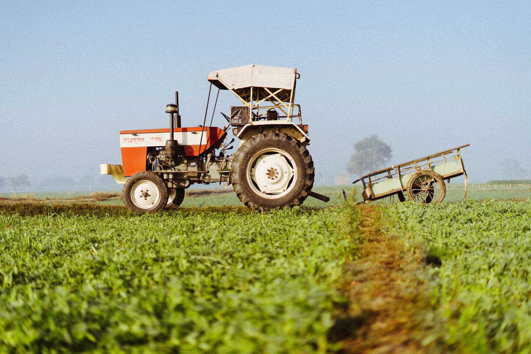 Lignosulfonates are used in agriculture