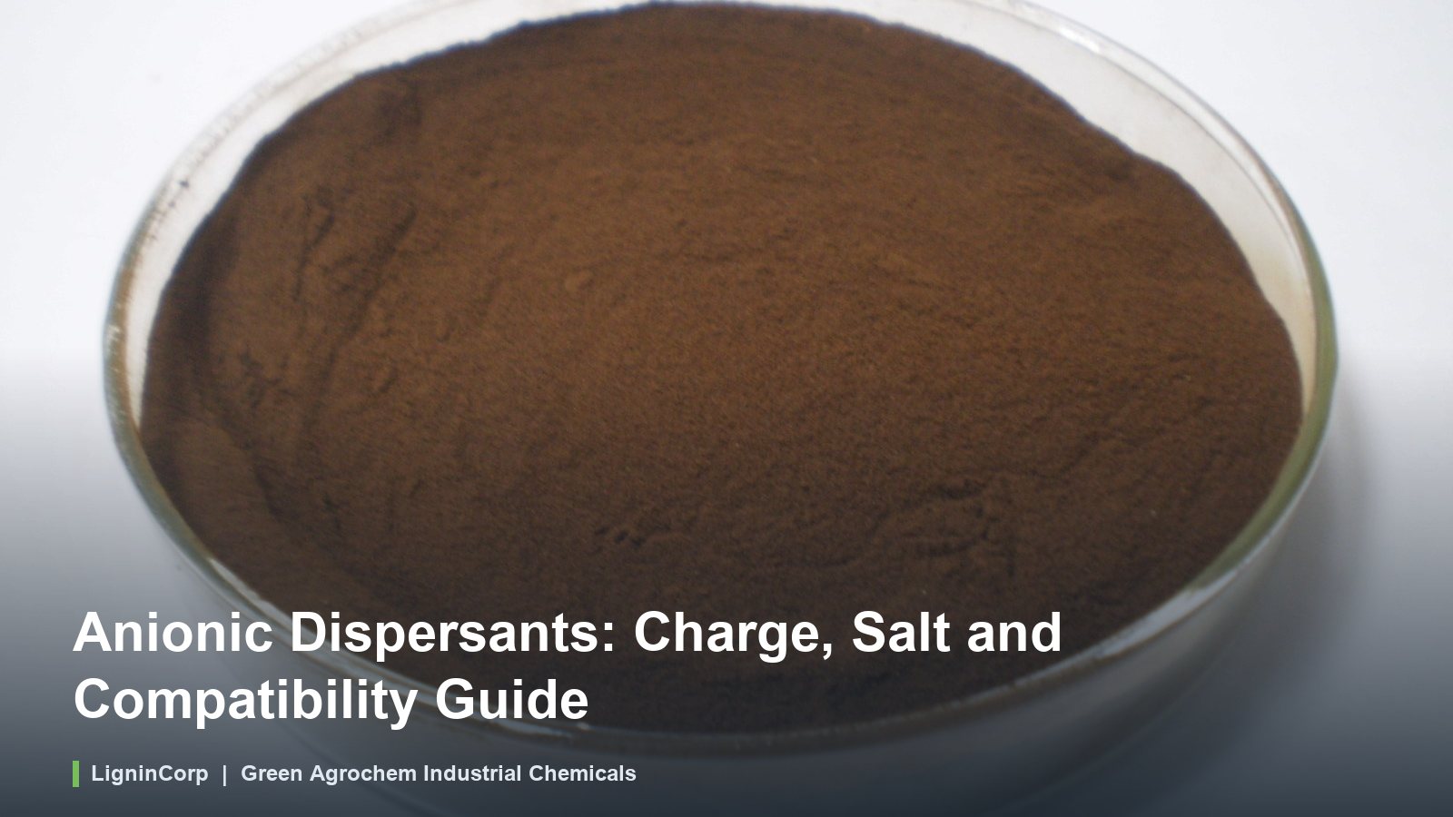 Anionic Dispersants: Charge, Salt and Compatibility Guide