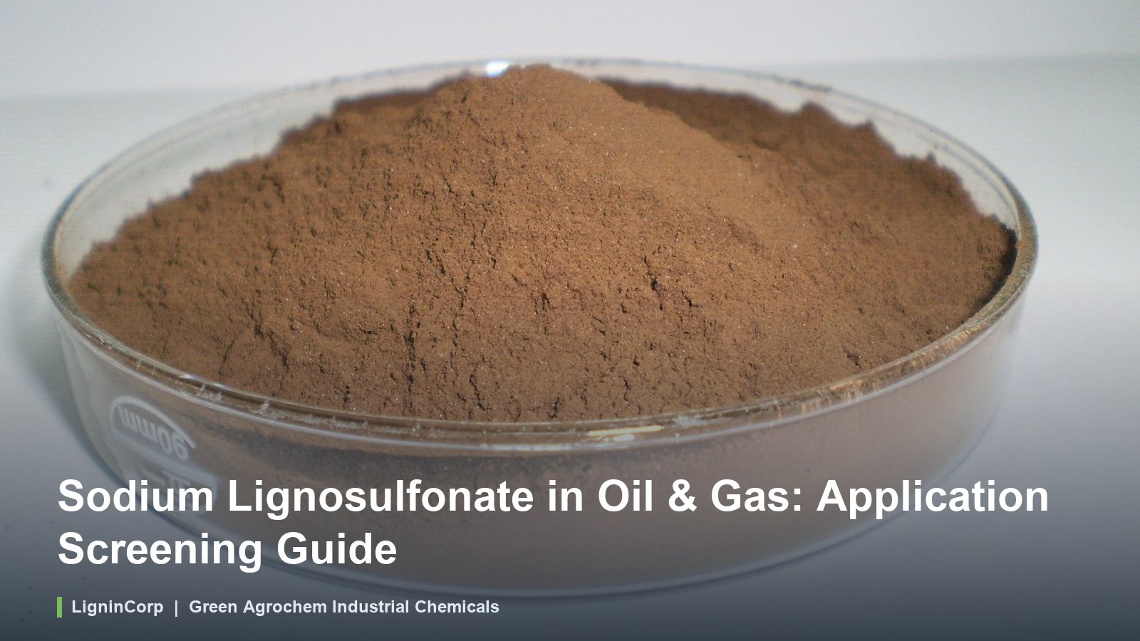 Sodium Lignosulfonate in Oil & Gas: Application Screening Guide