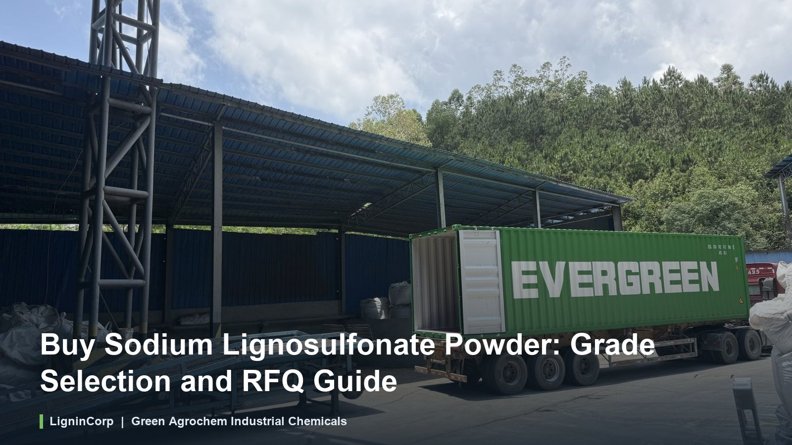 Buy Sodium Lignosulfonate Powder: Grade Selection and RFQ Guide