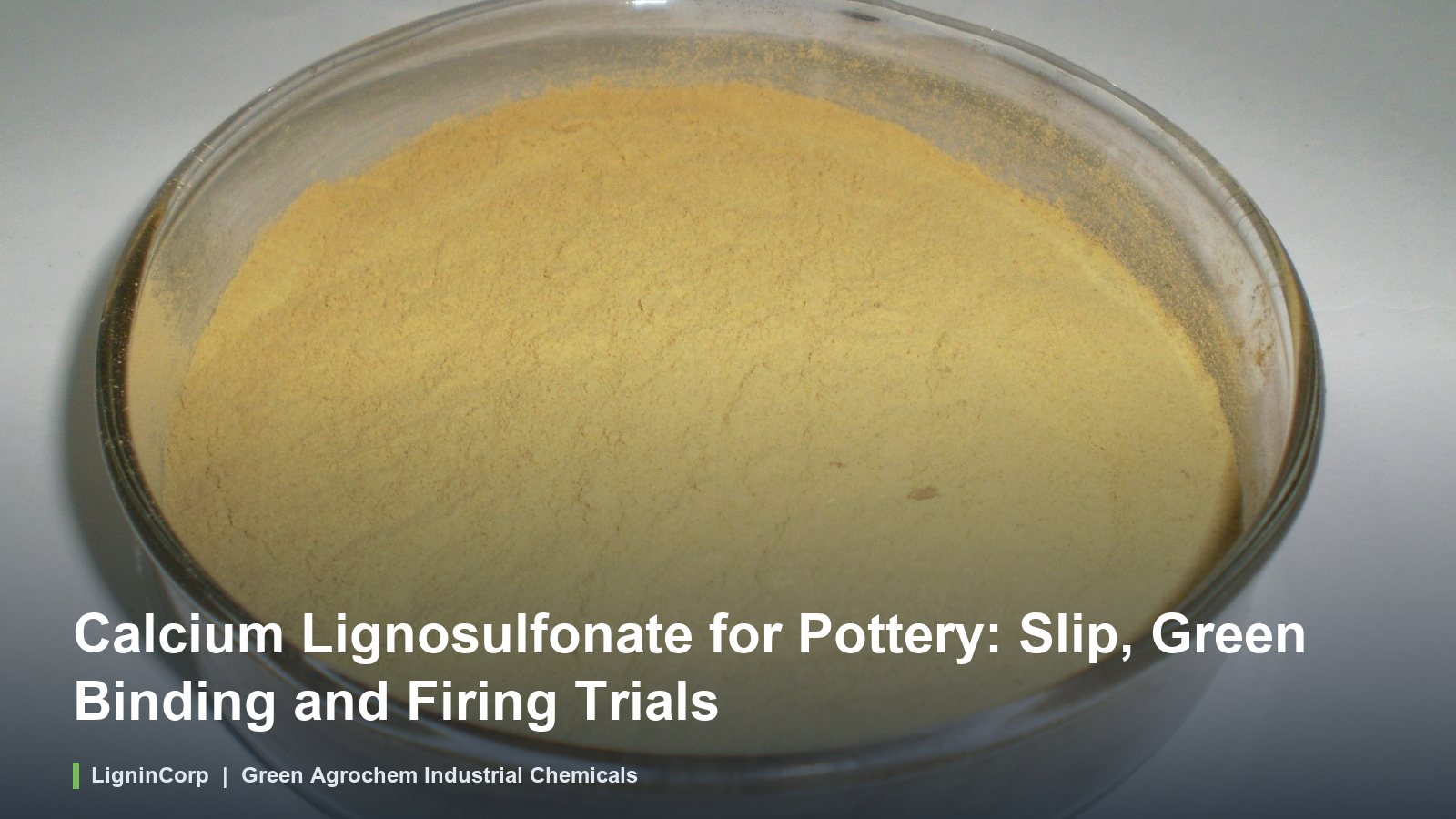 Calcium Lignosulfonate for Pottery: Slip, Green Binding and Firing Trials
