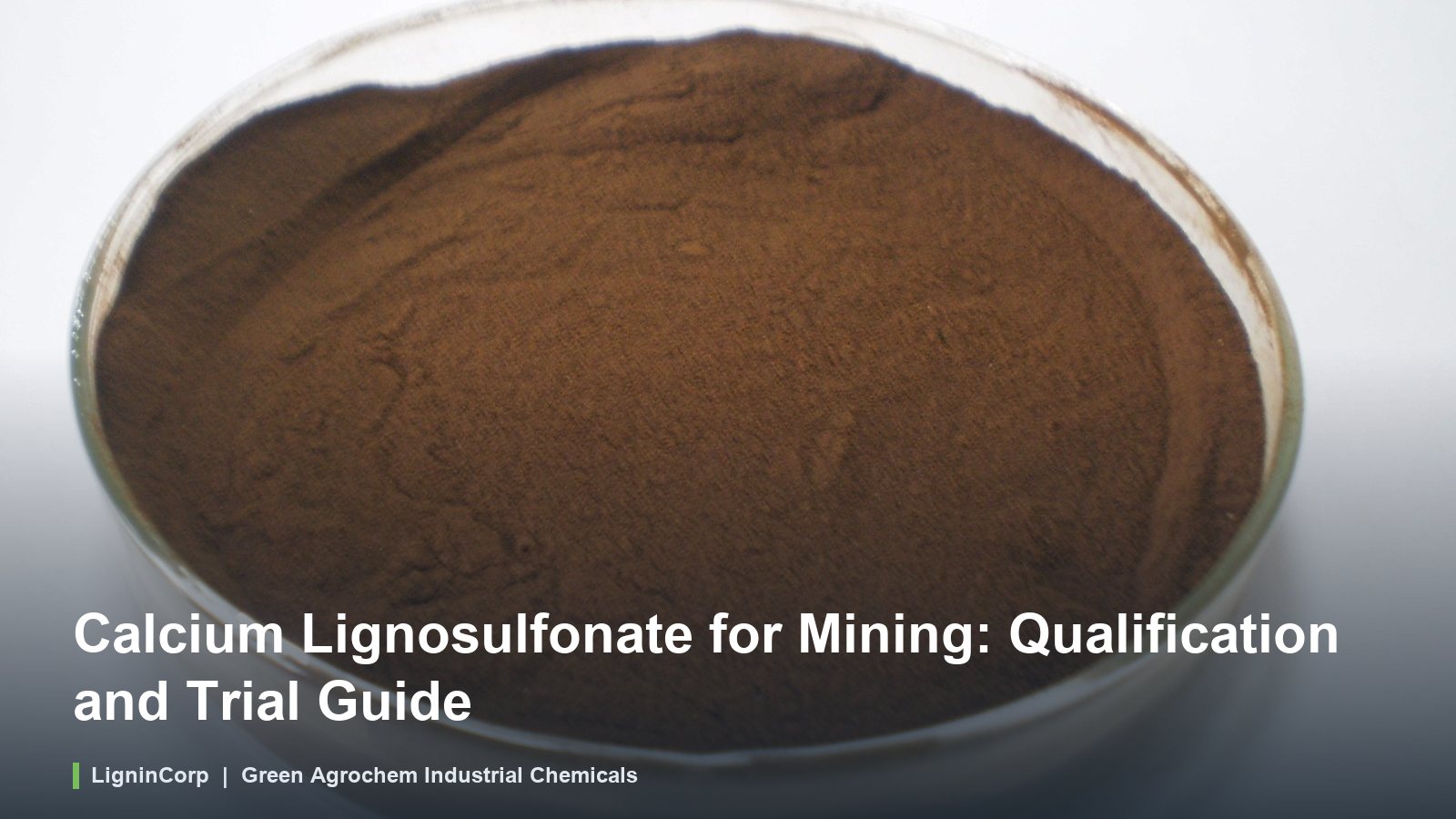 Calcium Lignosulfonate for Mining: Qualification and Trial Guide