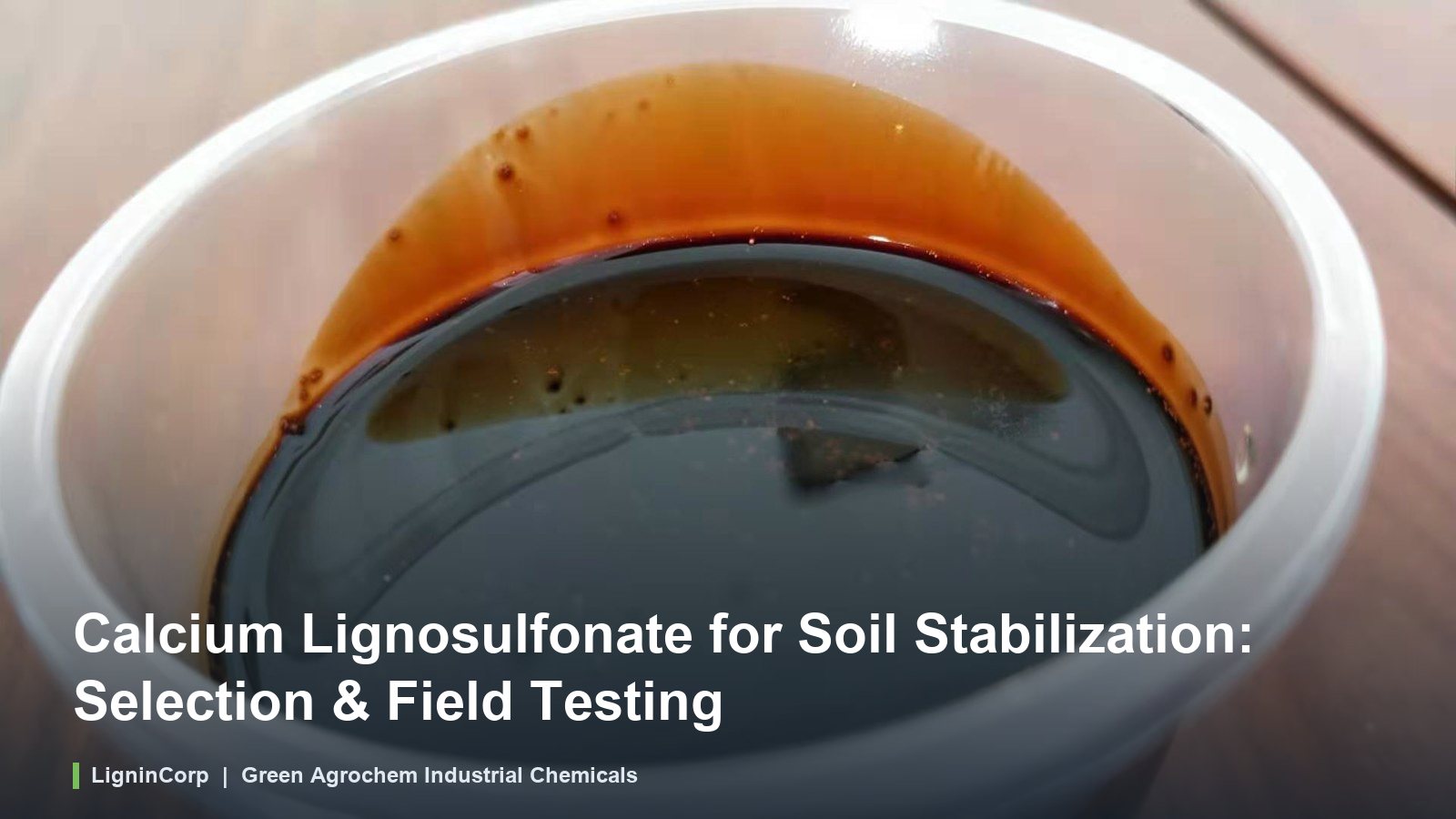 Calcium Lignosulfonate for Soil Stabilization: Selection & Field Testing