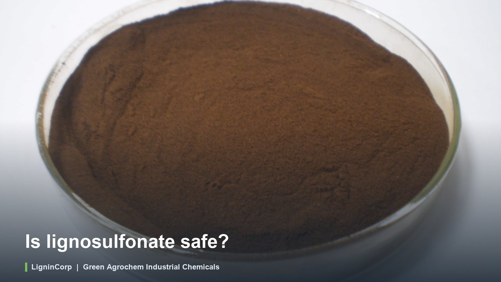 Is lignosulfonate safe?