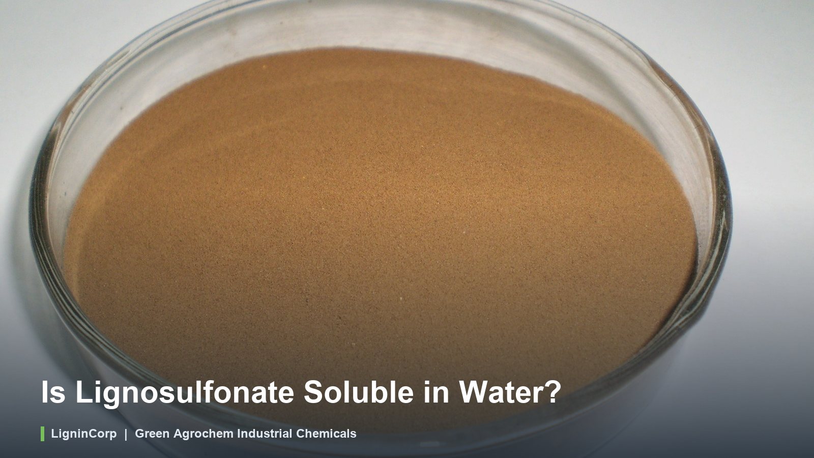 Is Lignosulfonate Soluble in Water?