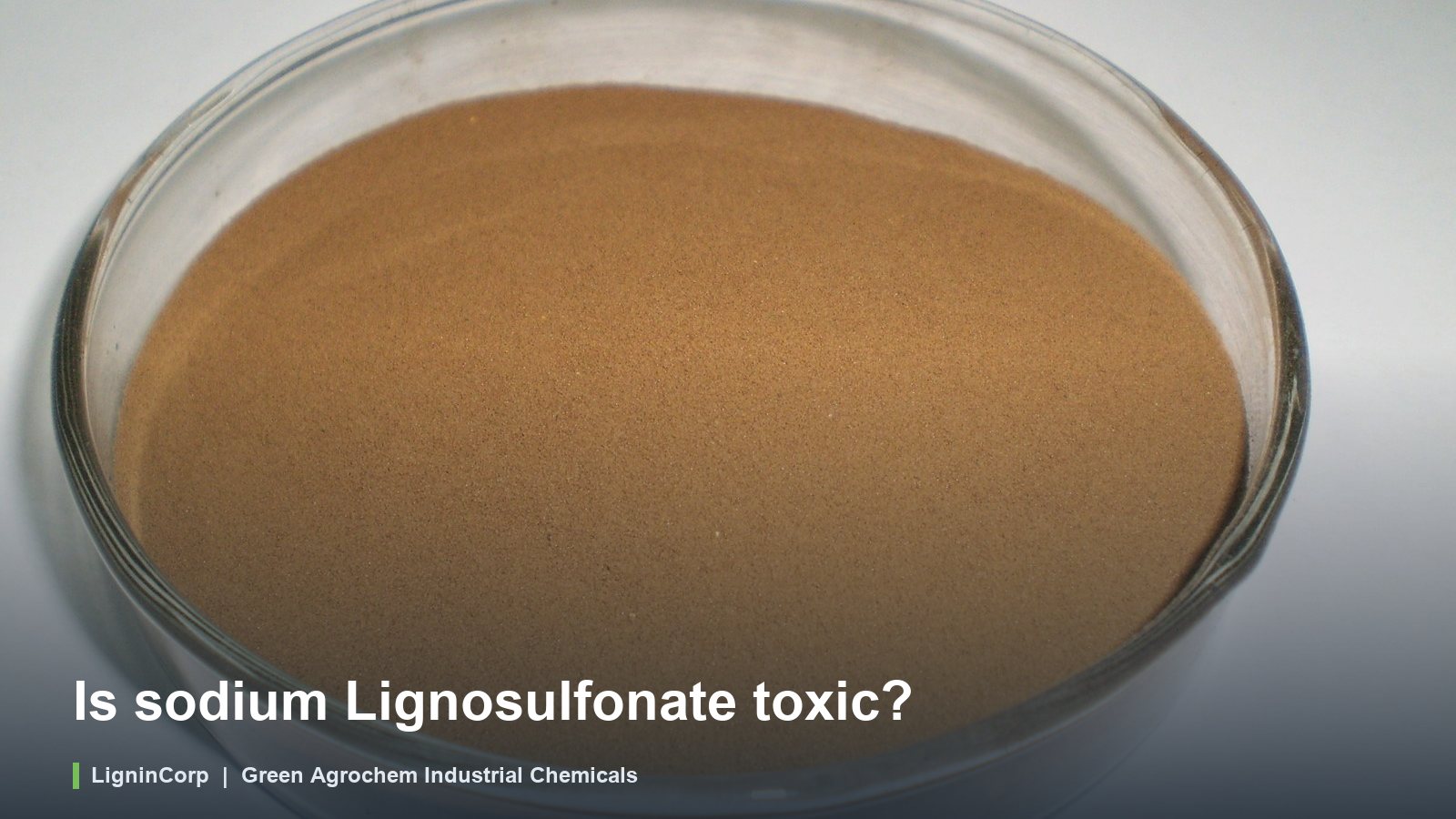 Is Sodium Lignosulfonate Toxic?