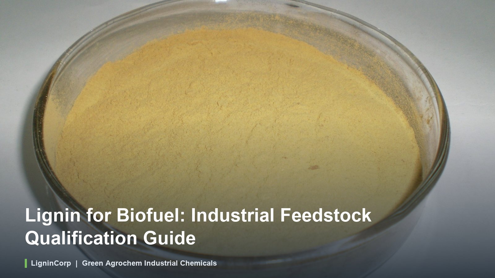 Lignin for Biofuel: Industrial Feedstock Qualification Guide