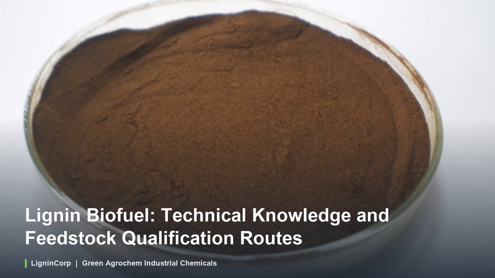 Lignin Biofuel: Technical Knowledge and Feedstock Qualification Routes