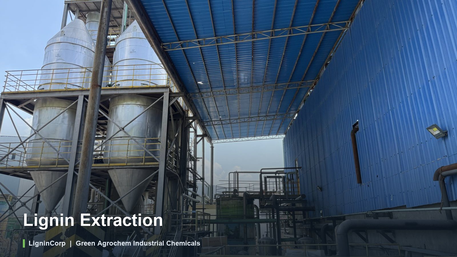 Lignin Extraction