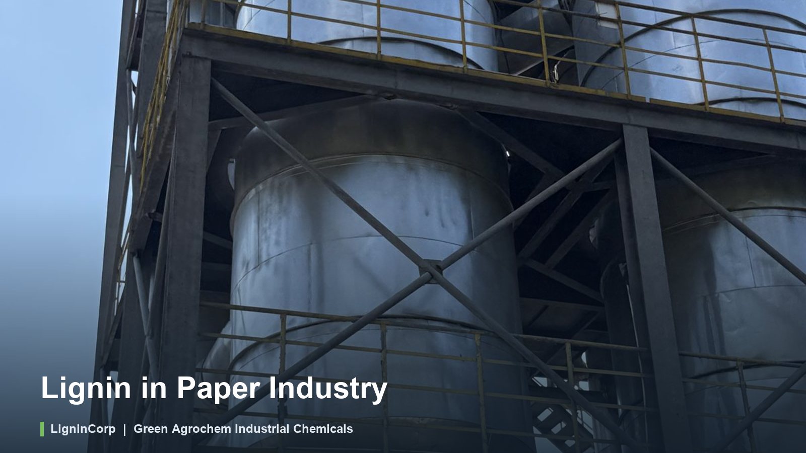 Lignin in Paper Industry