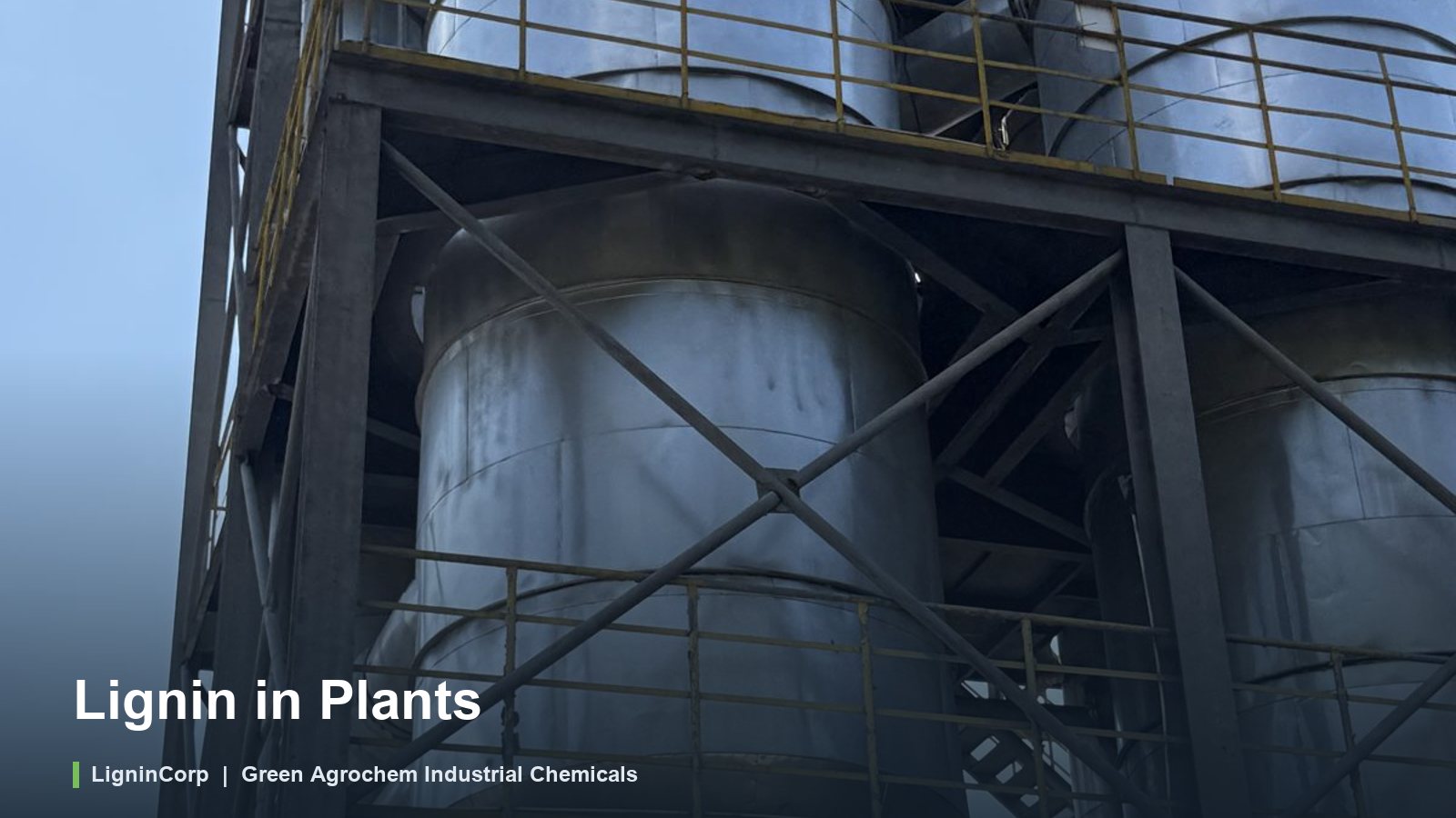 Lignin in Plants