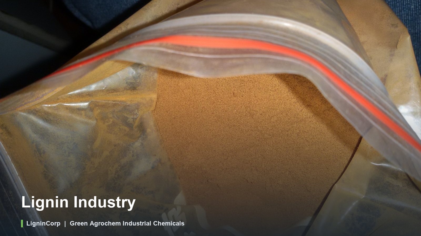 Lignin Industry