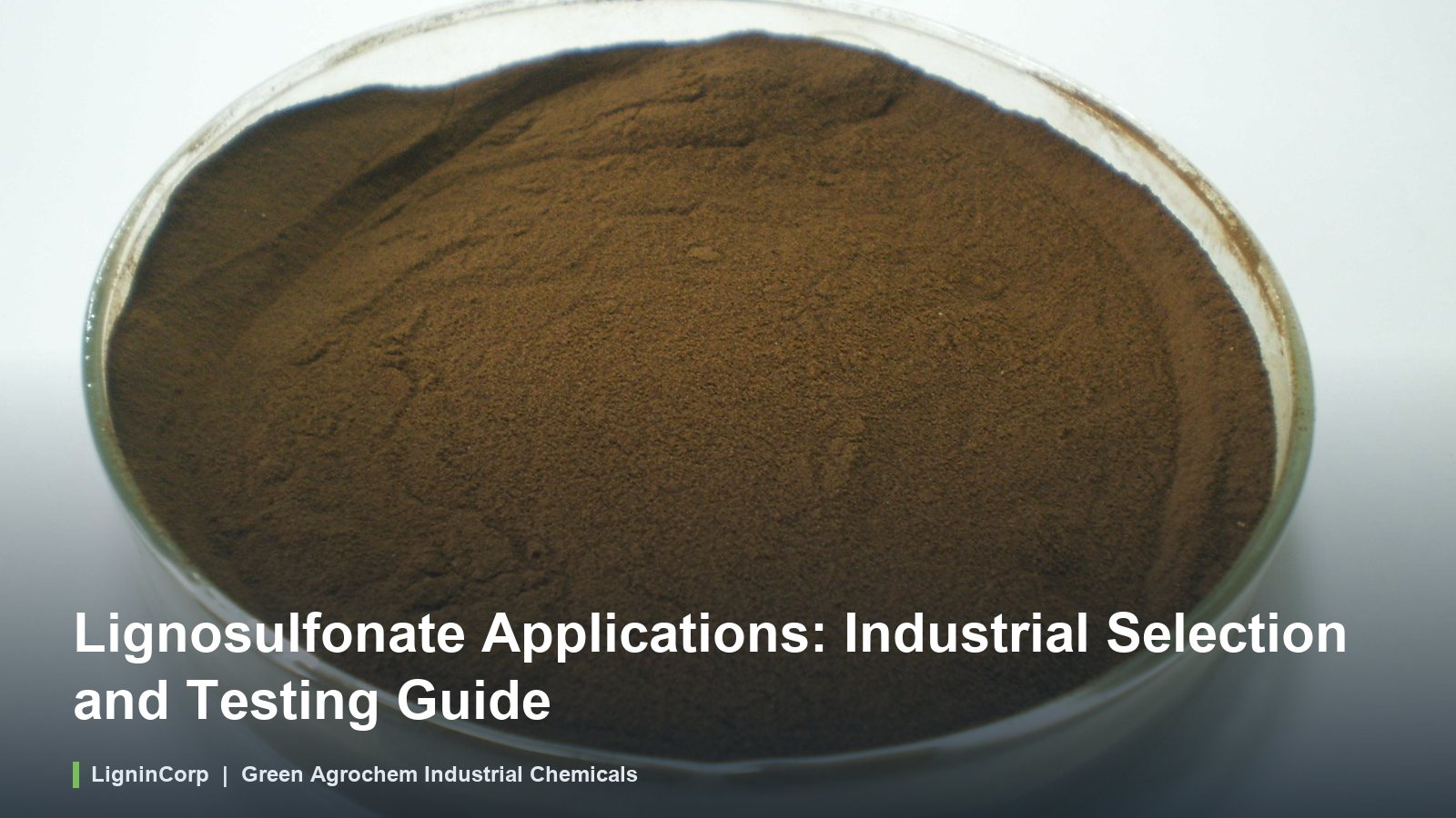 Lignosulfonate Applications: Industrial Selection and Testing Guide