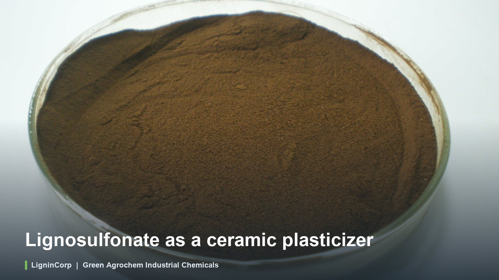 Lignosulfonate as a ceramic plasticizer