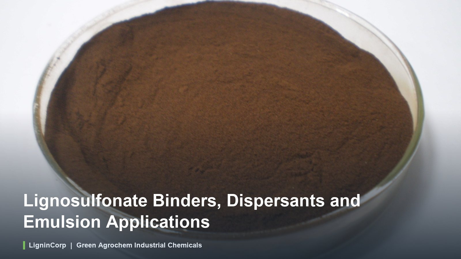 Lignosulfonate Binders, Dispersants and Emulsion Applications