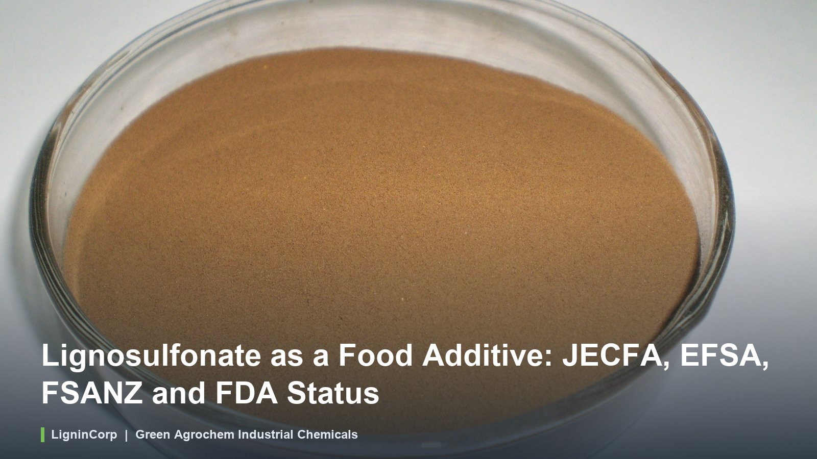 Lignosulfonate as a Food Additive: JECFA, EFSA, FSANZ and FDA Status
