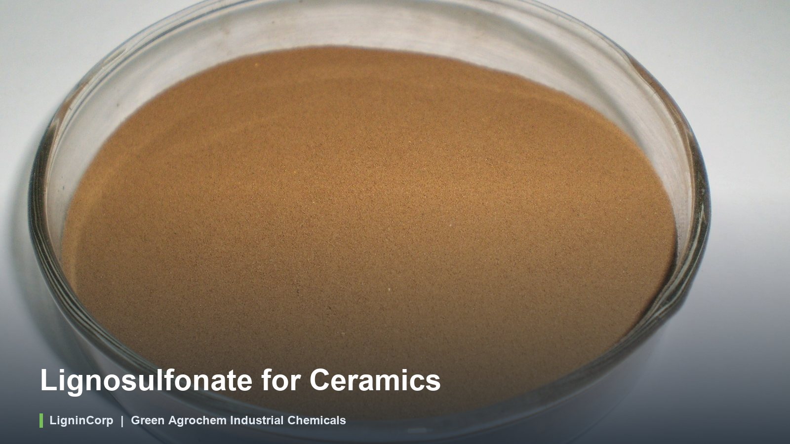 Lignosulfonate for Ceramics