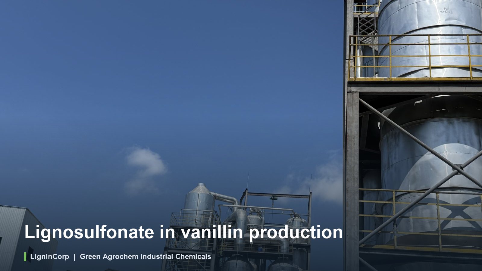 Lignosulfonate in vanillin production