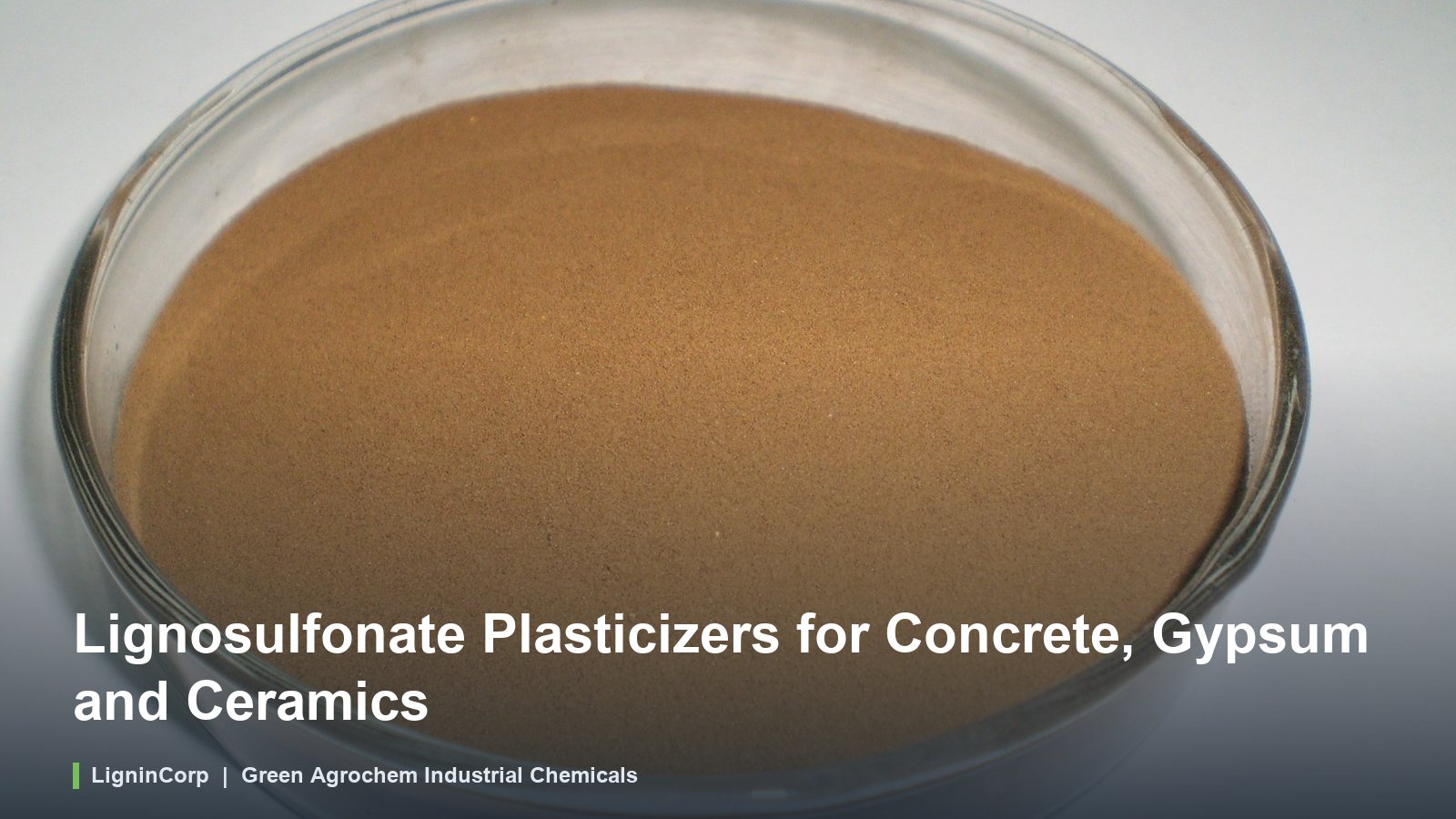 Lignosulfonate Plasticizers for Concrete, Gypsum and Ceramics
