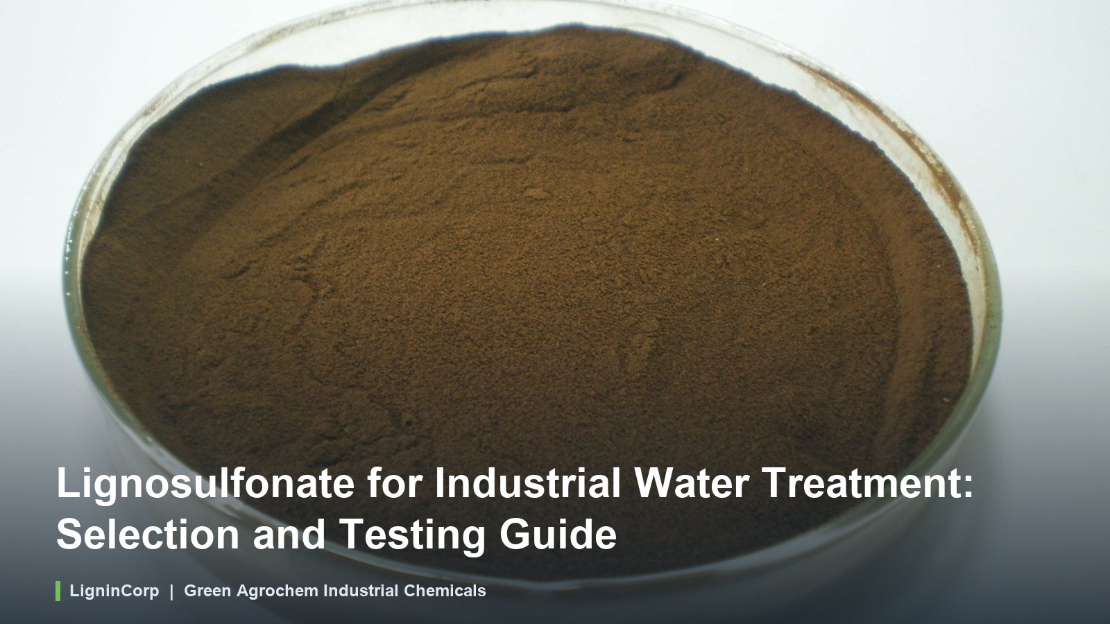 Lignosulfonate for Industrial Water Treatment: Selection and Testing Guide
