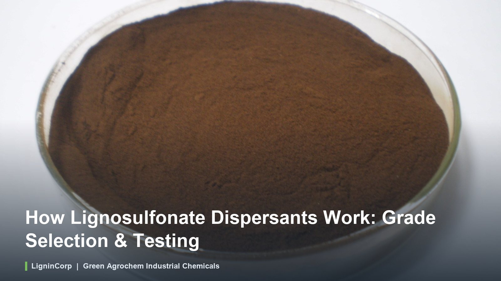 How Lignosulfonate Dispersants Work: Grade Selection & Testing