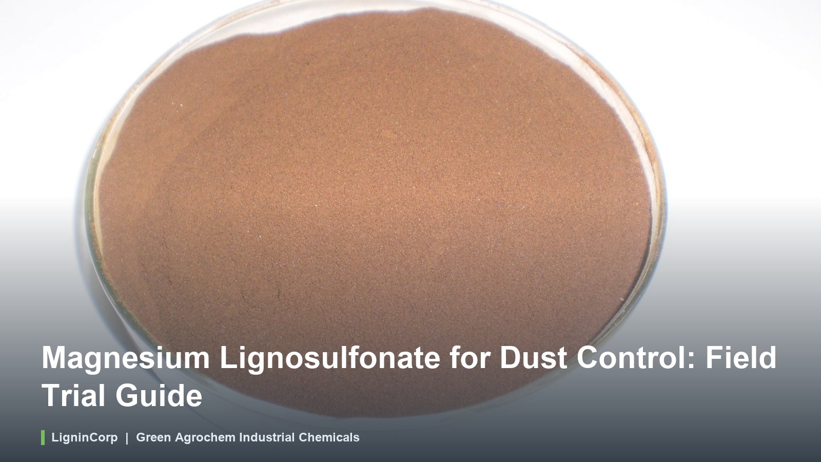 Magnesium Lignosulfonate for Dust Control: Field Trial Guide