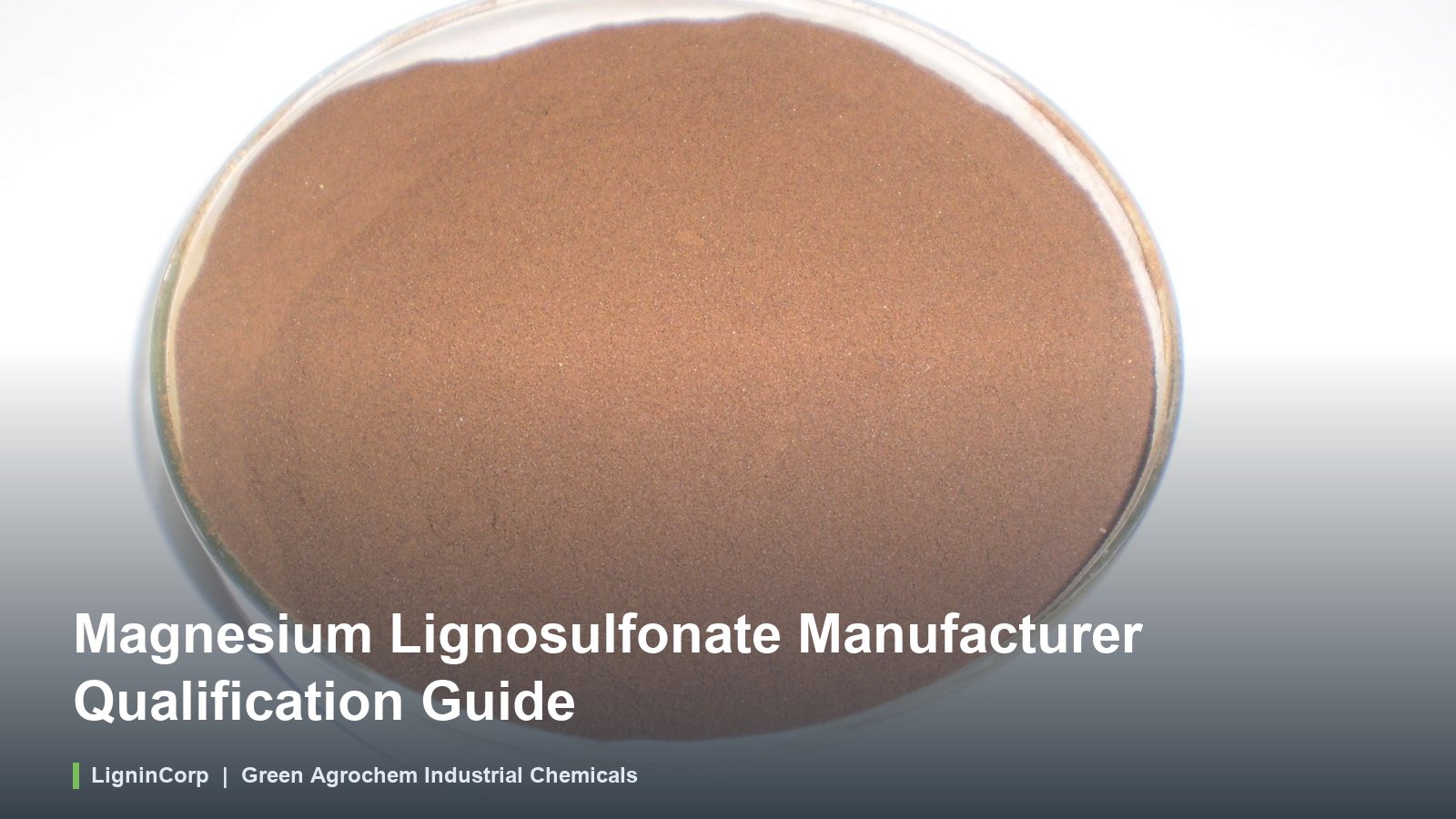 Magnesium Lignosulfonate Manufacturer Qualification Guide