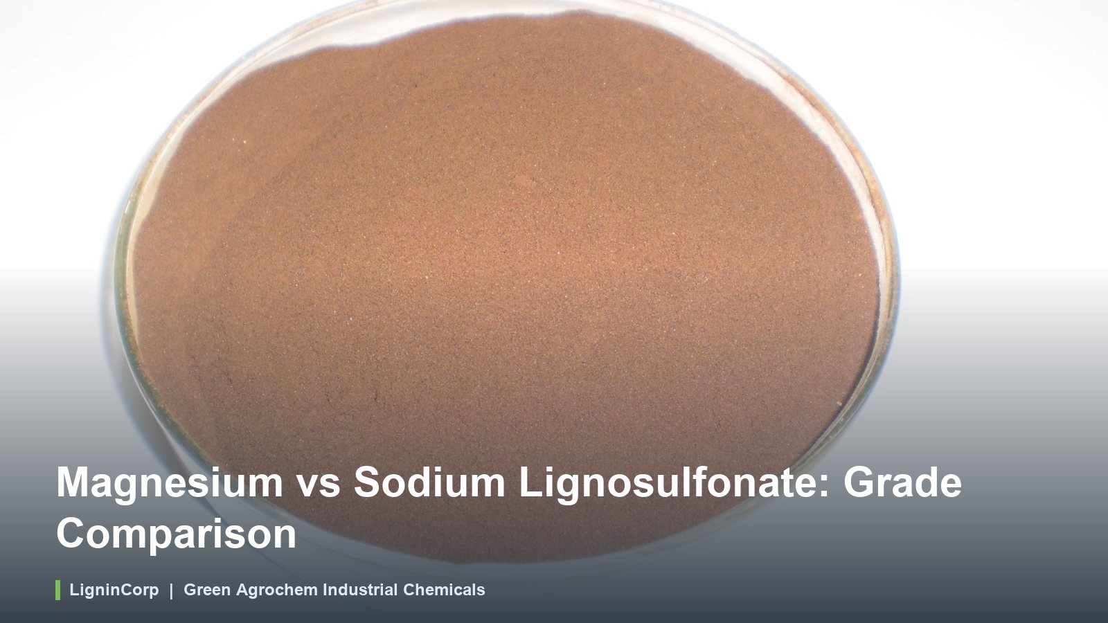 Magnesium vs Sodium Lignosulfonate: Grade Comparison