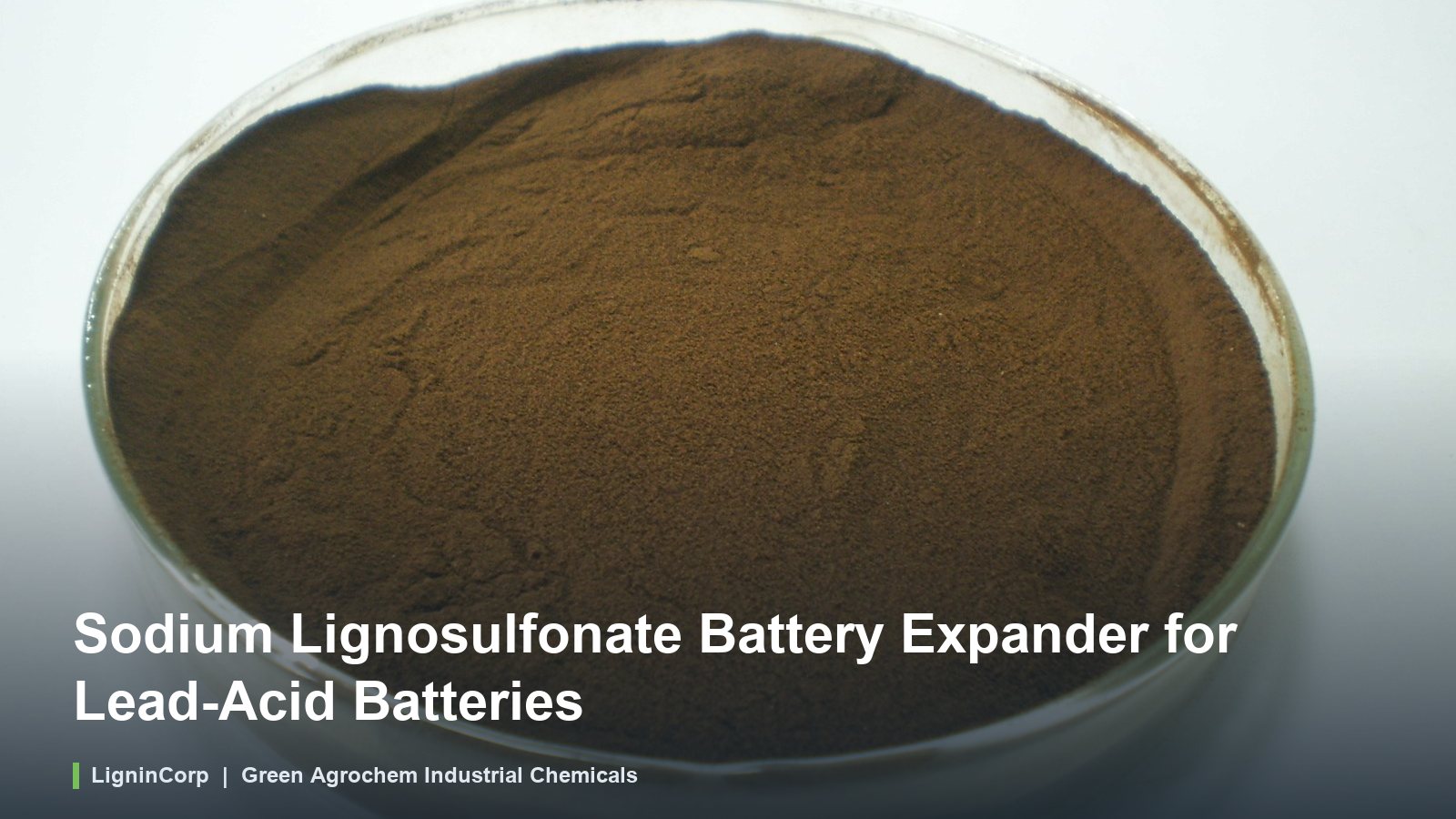 Sodium Lignosulfonate Battery Expander for Lead-Acid Batteries