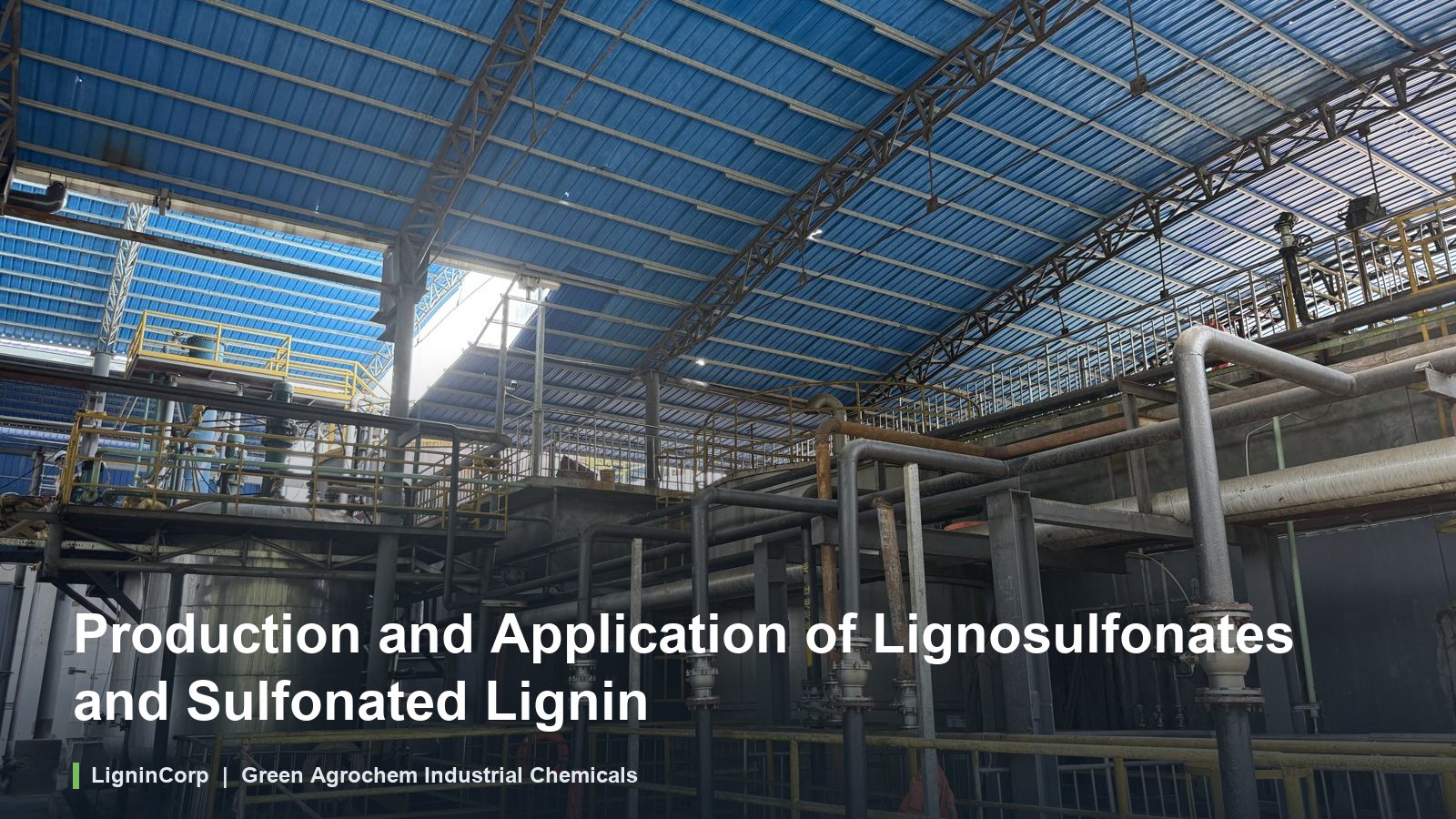 Production and Application of Lignosulfonates and Sulfonated Lignin