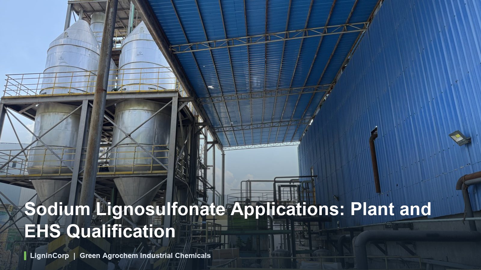 Sodium Lignosulfonate Applications: Plant and EHS Qualification