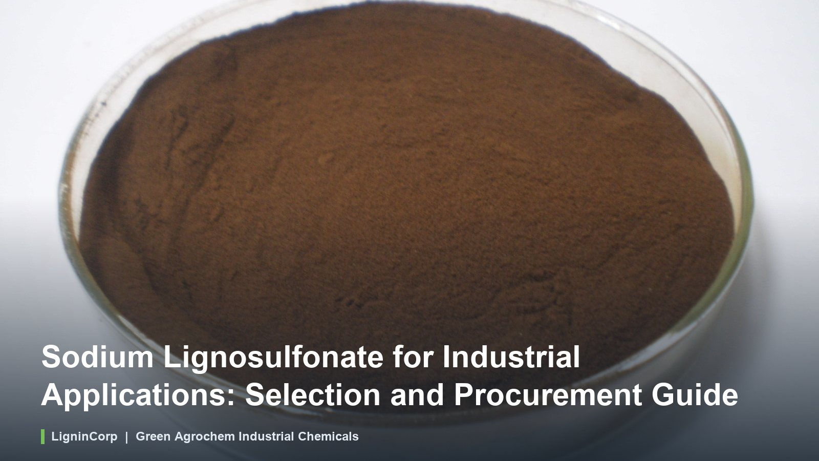 Sodium Lignosulfonate for Industrial Applications: Selection and Procurement Guide