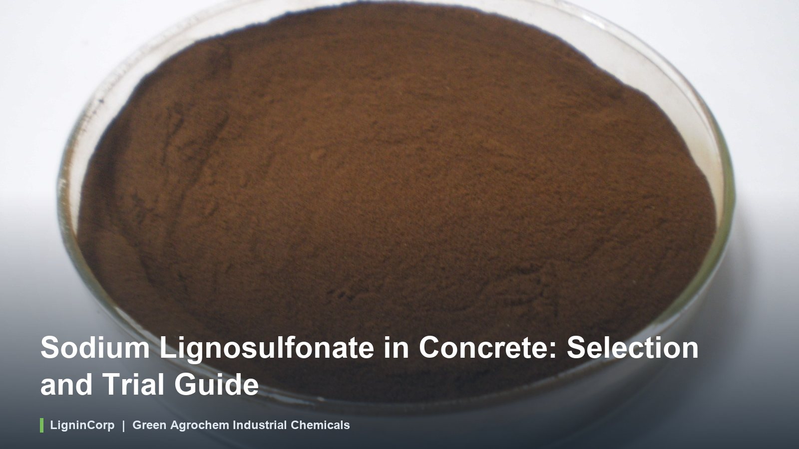 Sodium Lignosulfonate in Concrete: Selection and Trial Guide