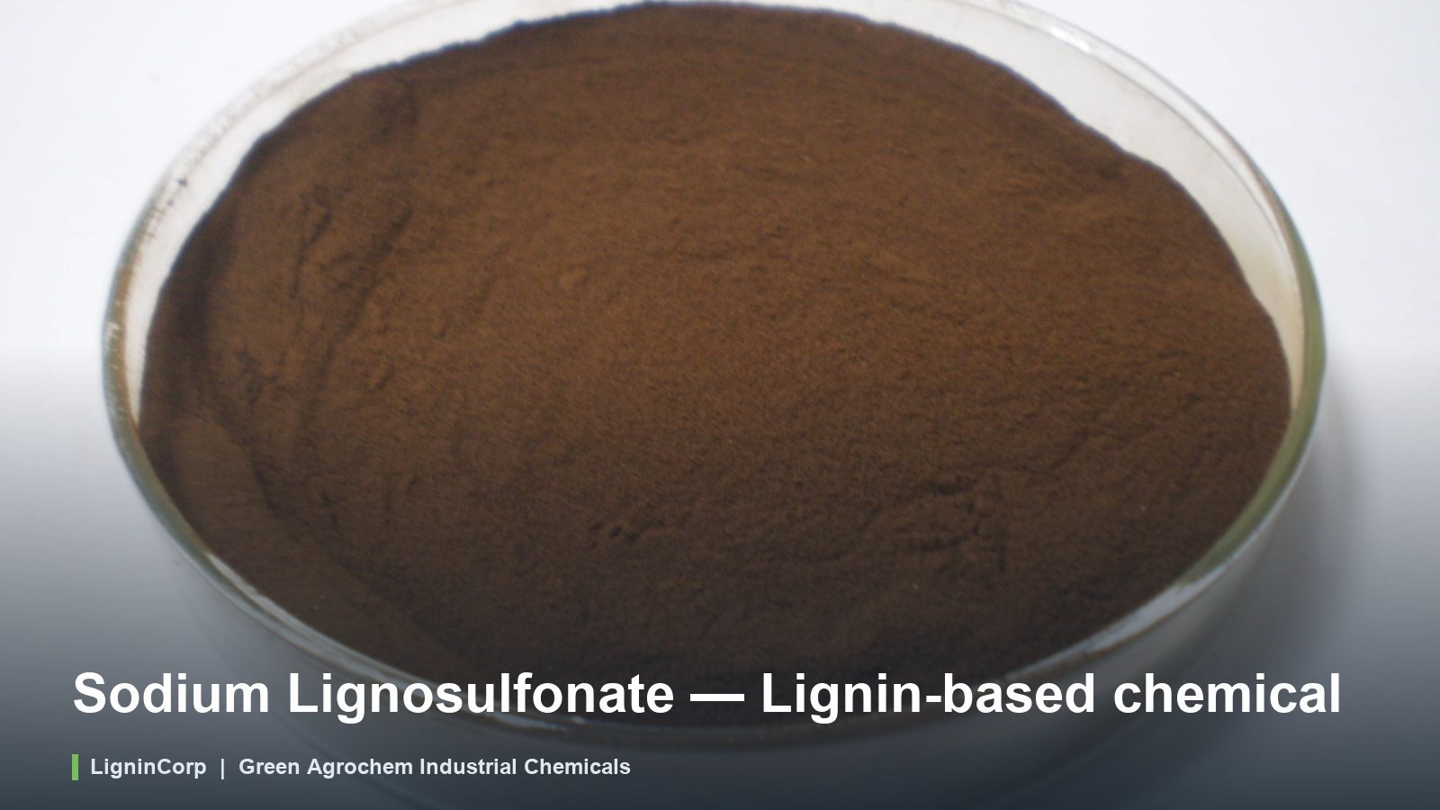 Sodium Lignosulfonate — Lignin-based chemical