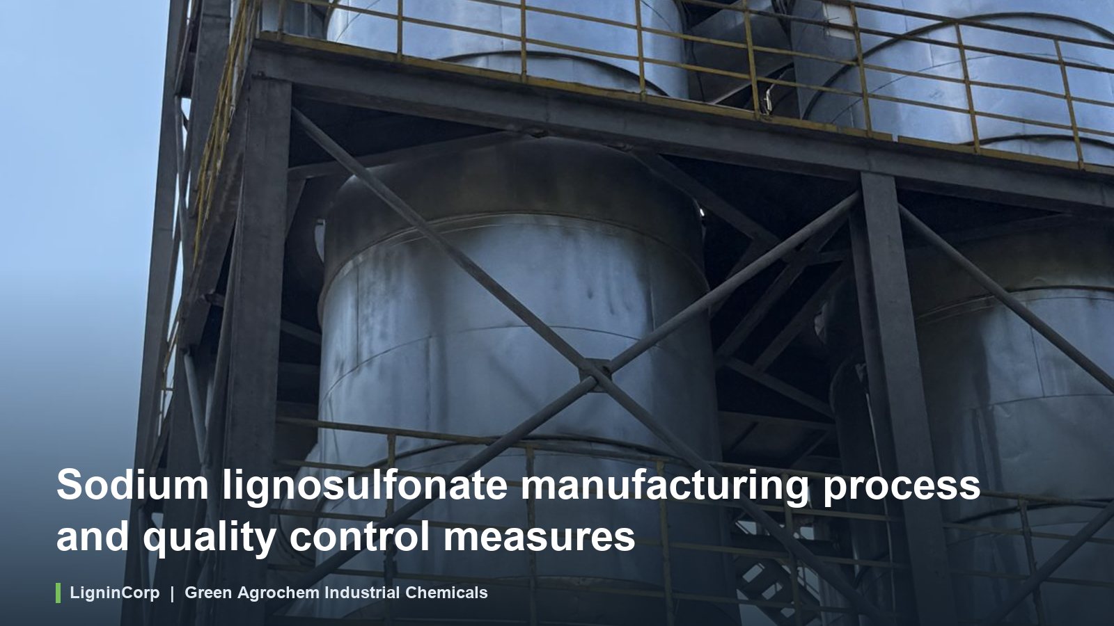 Sodium Lignosulfonate Manufacturing Process and Quality Control Measures
