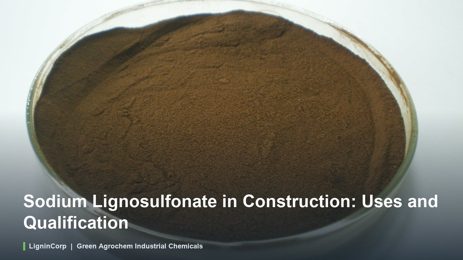 Sodium Lignosulfonate in Construction: Uses and Qualification
