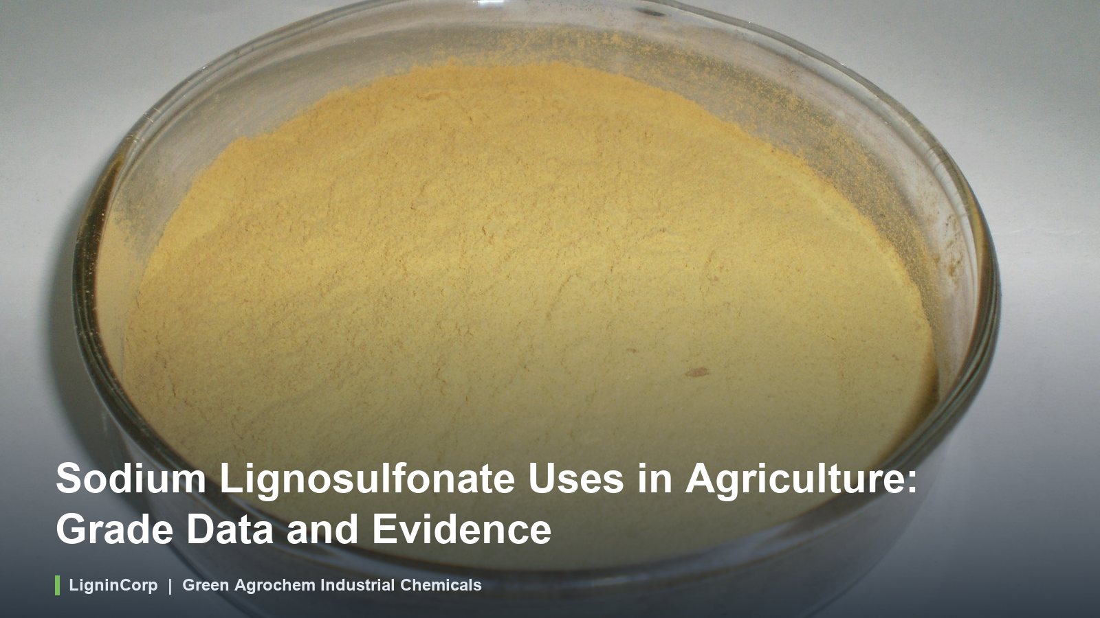 Sodium Lignosulfonate Uses in Agriculture: Grade Data and Evidence