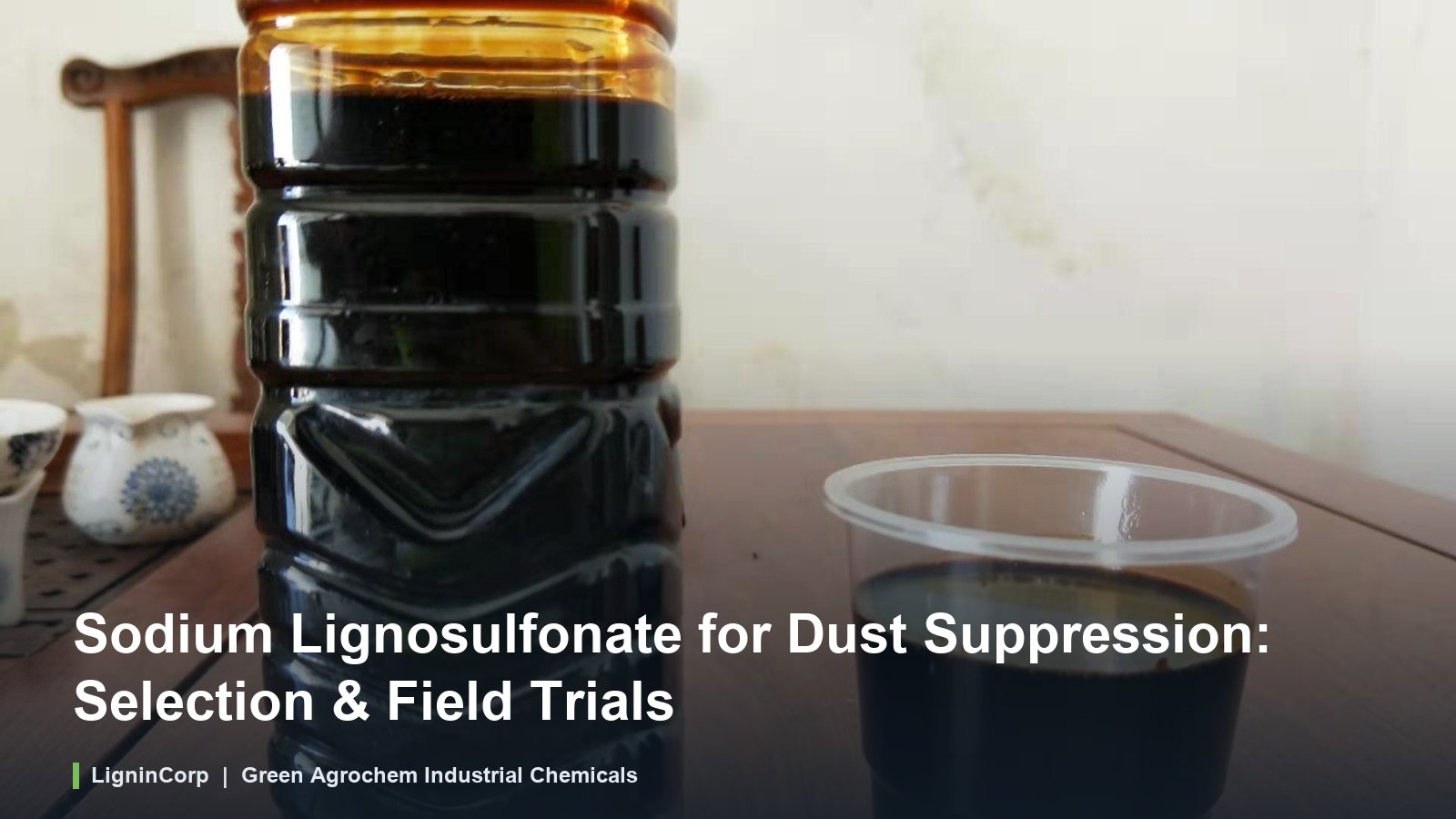 Sodium Lignosulfonate for Dust Suppression: Selection & Field Trials