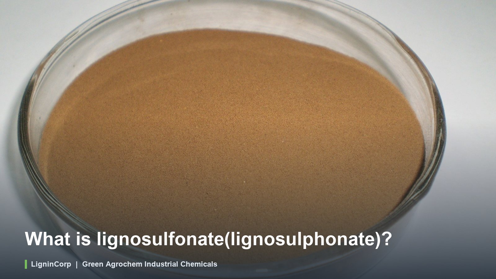 What is lignosulfonate(lignosulphonate)?