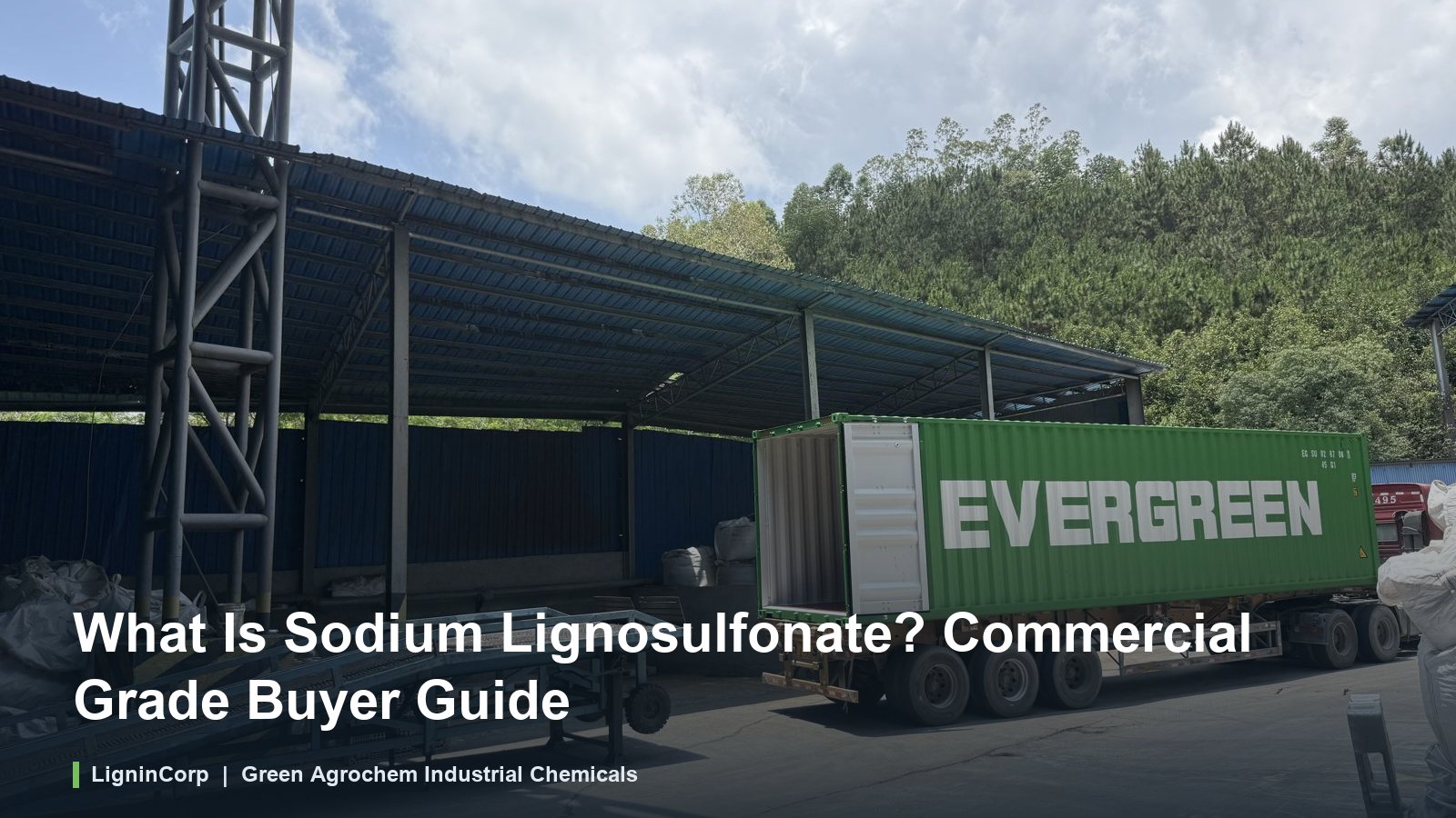 What Is Sodium Lignosulfonate? Commercial Grade Buyer Guide