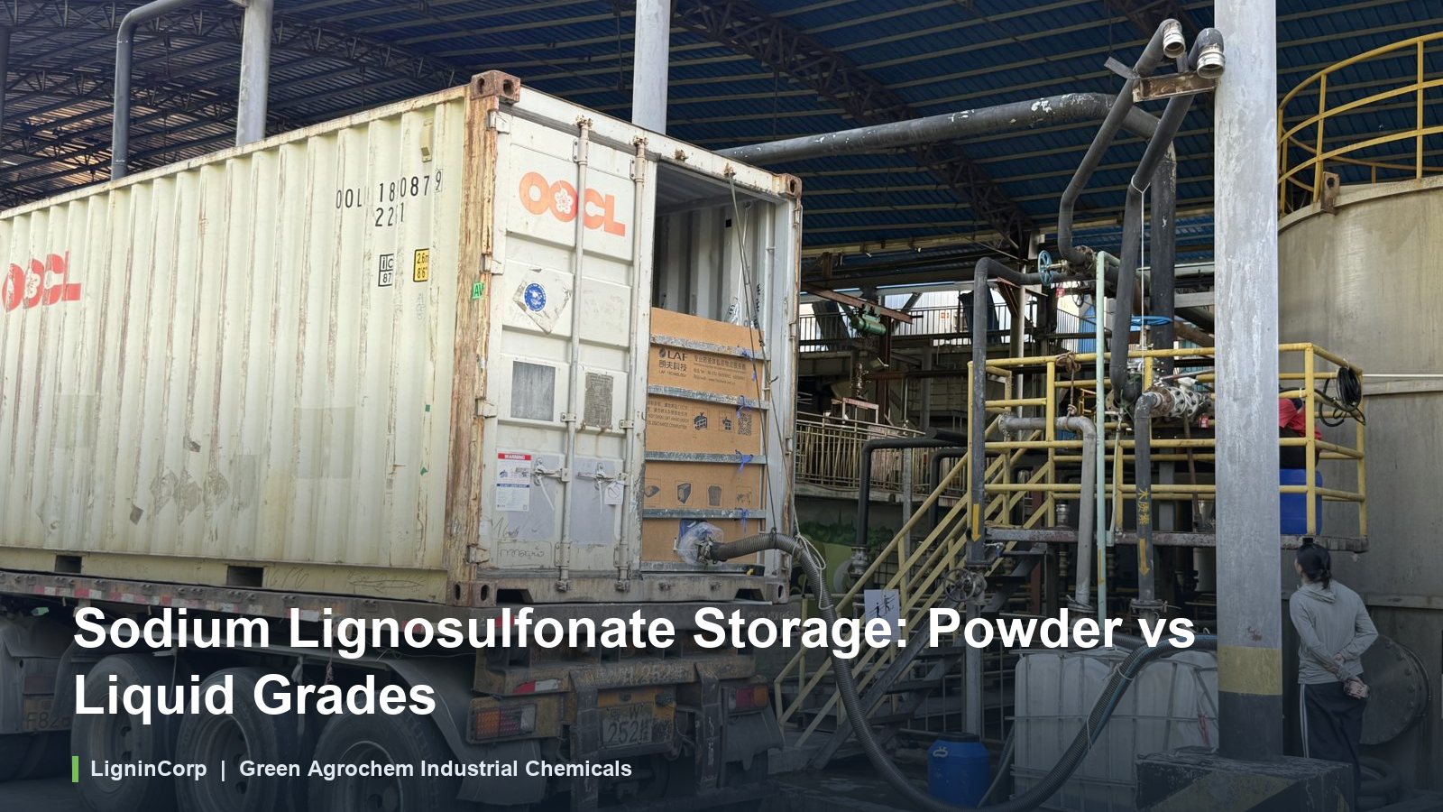 Sodium Lignosulfonate Storage: Powder vs Liquid Grades